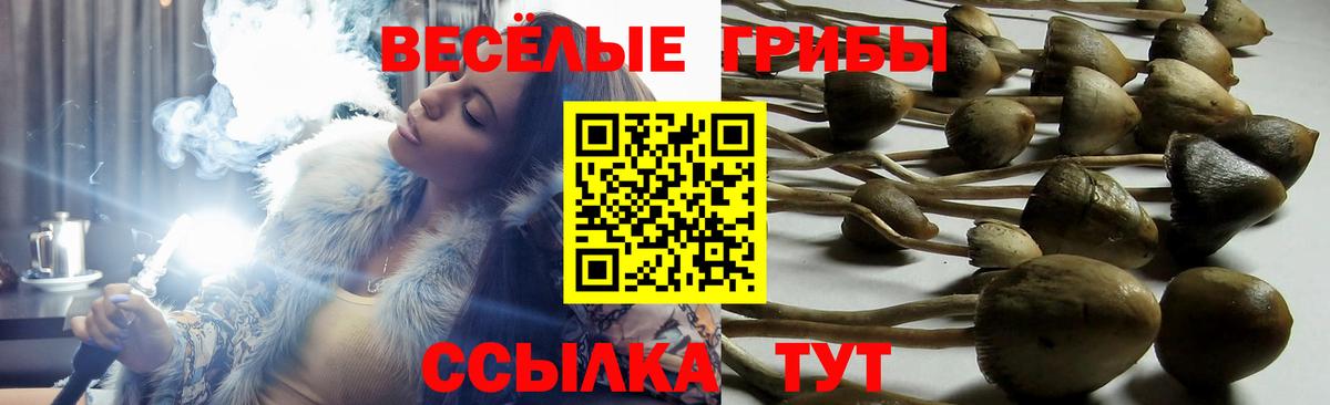 Ишимбай  Галлюциногенные грибы Psilocybine cubensis  Галлюциногенные грибы Magic Shrooms  даркнет сайт  Вход с VPN 